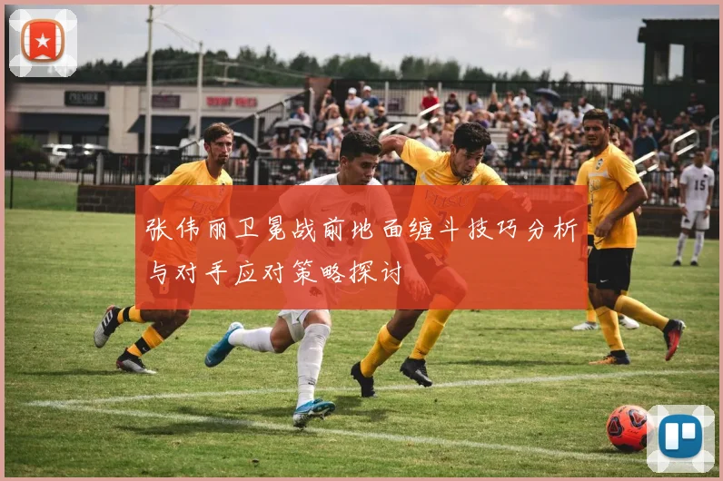 张伟丽卫冕战前地面缠斗技巧分析与对手应对策略探讨